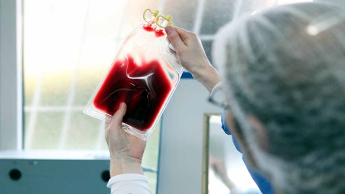 New Work of Red Blood Cells