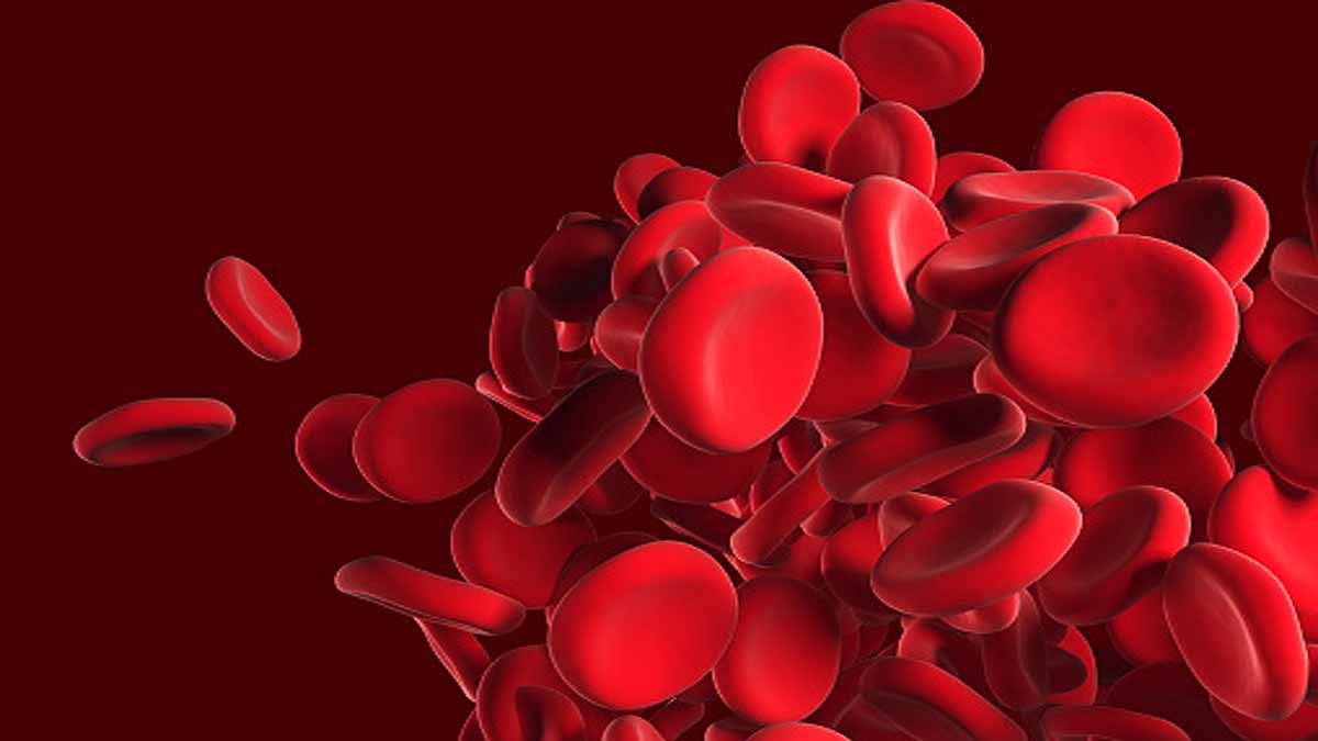 New Work of Red Blood Cells