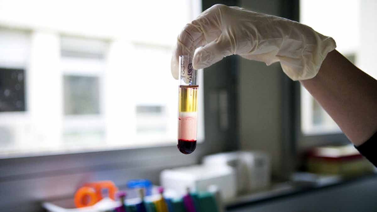 New Work of Red Blood Cells