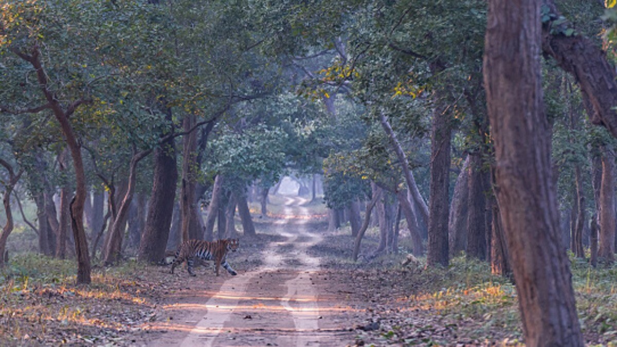 लखीमपुर खीरी (Getty)
