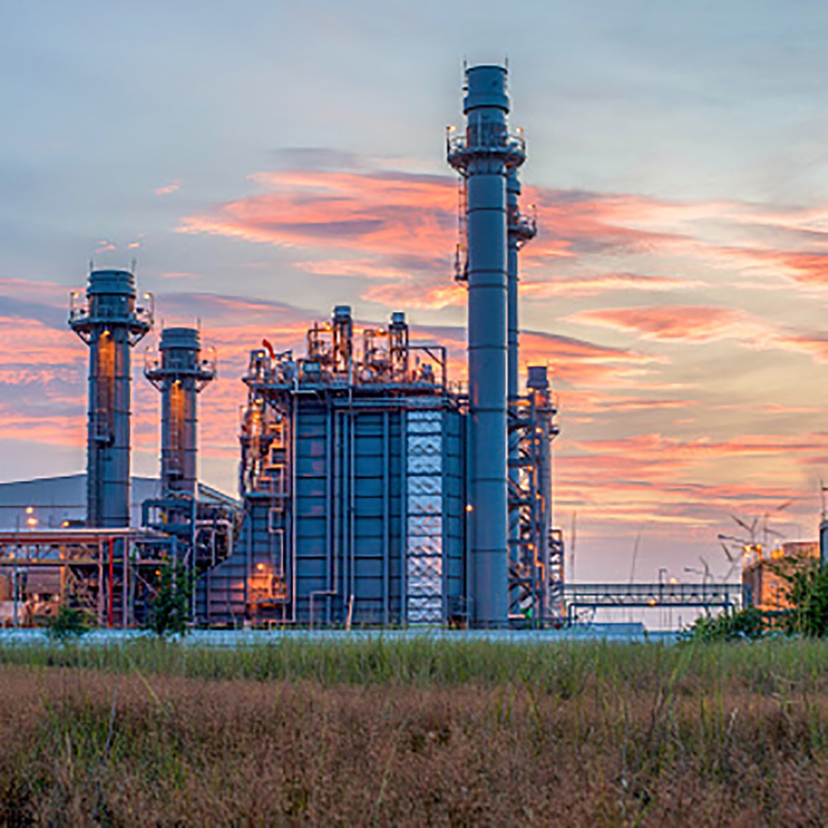 प्रतीकात्मक फोटो (Getty)