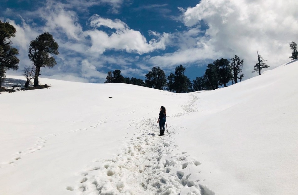 दिल्ली के नजदीक स्नोफॉल देखने की सबसे अच्छी जगहें