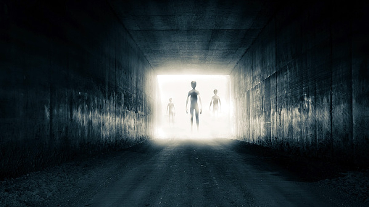 Alien Organisms Human Spacecraft