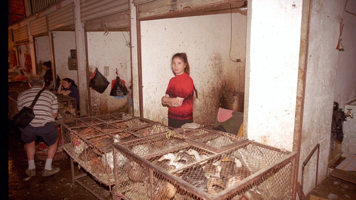 First COVID-19 case Wuhan