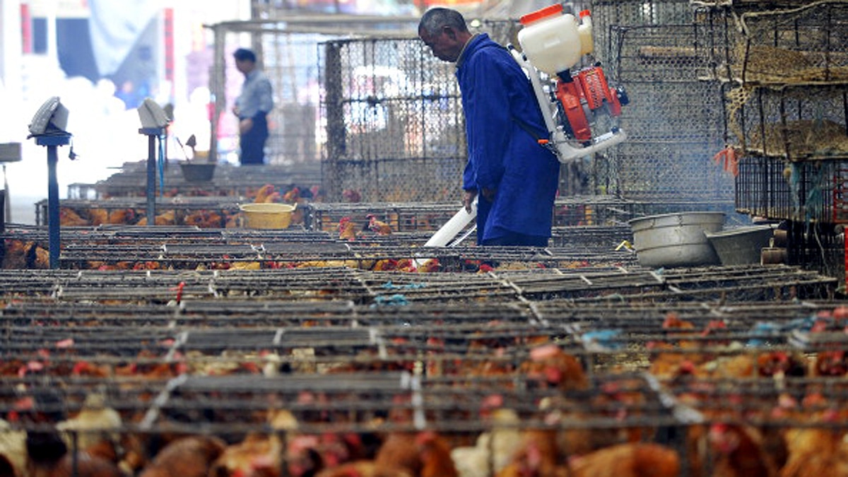 First COVID-19 case Wuhan