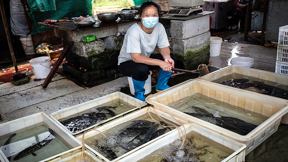 First COVID-19 case Wuhan