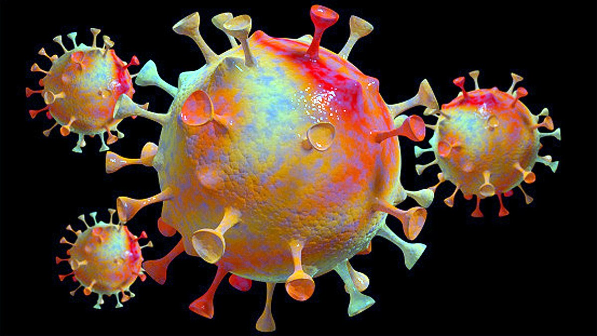 Covid-19 Variant B.1.1.529