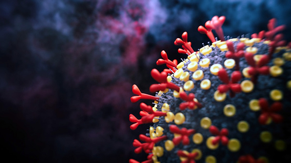 Covid-19 Variant B.1.1.529