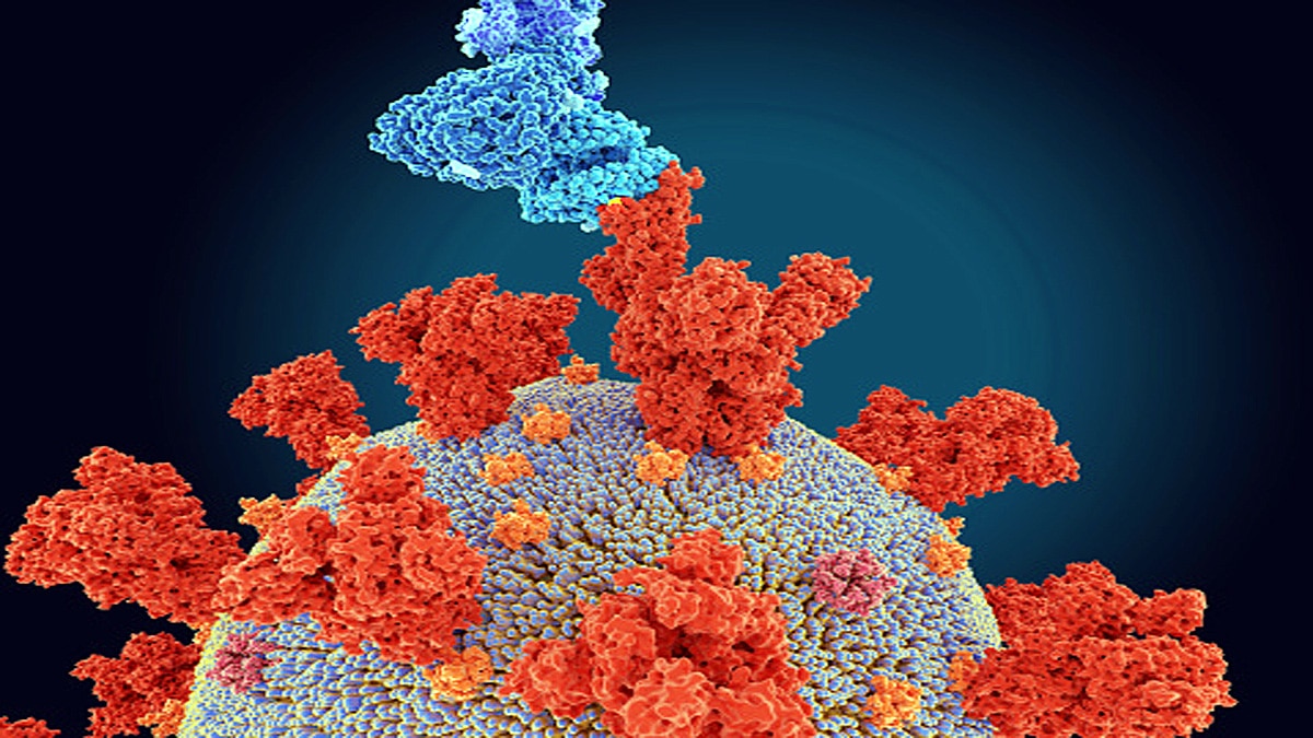 Omicron genome sequencing