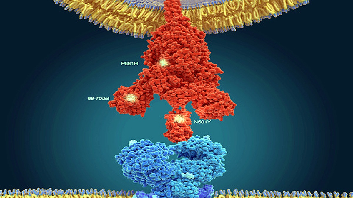 Omicron genome sequencing