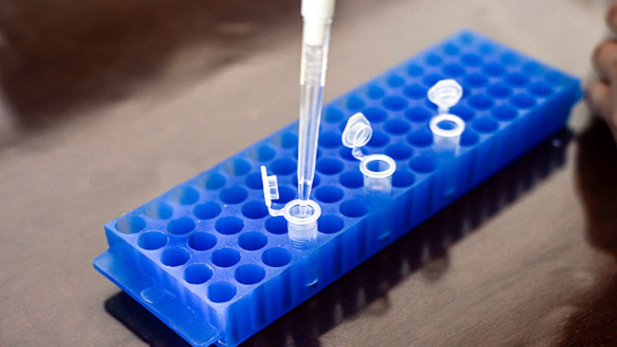 Covid-19 Variant B.1.1.529