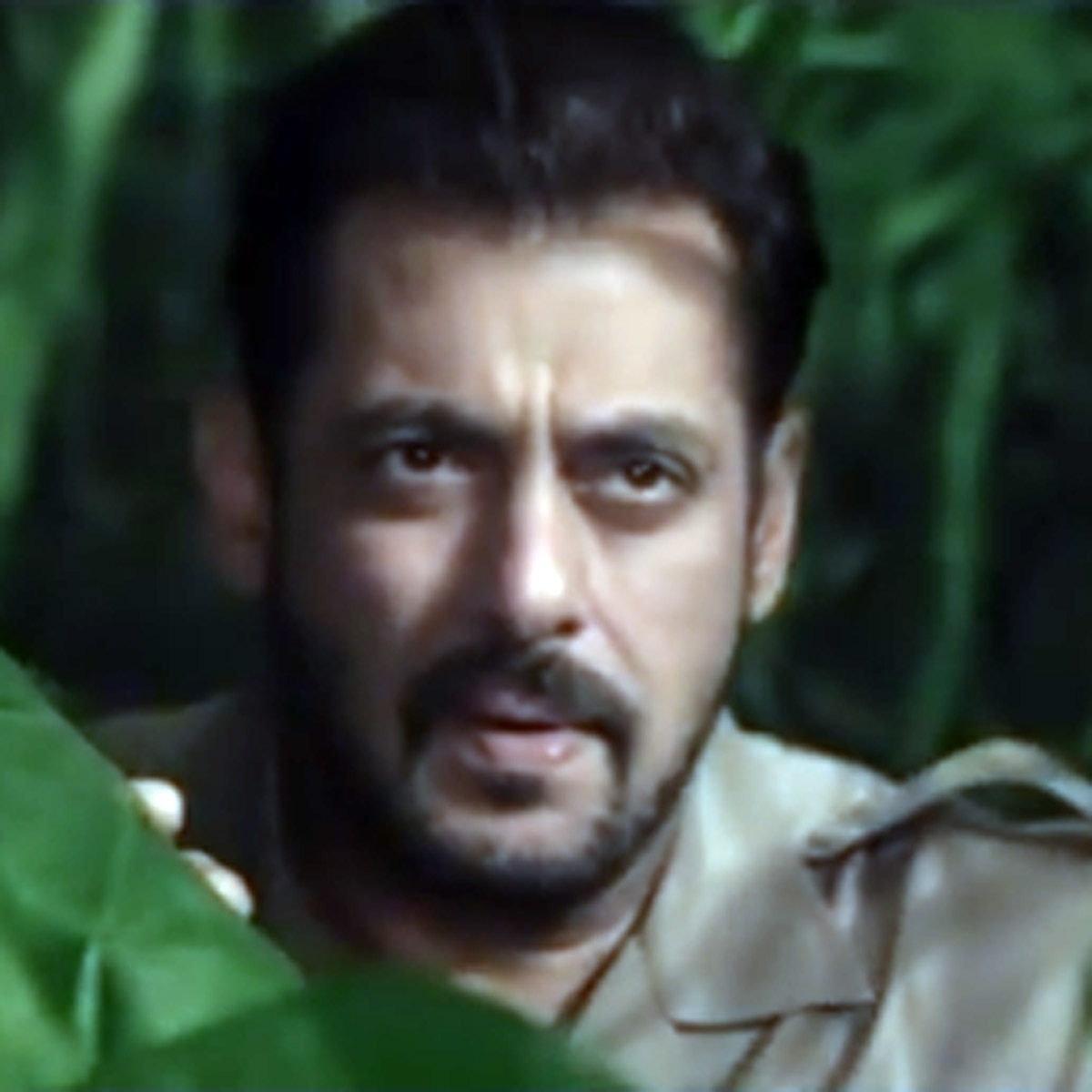 सलमान खान