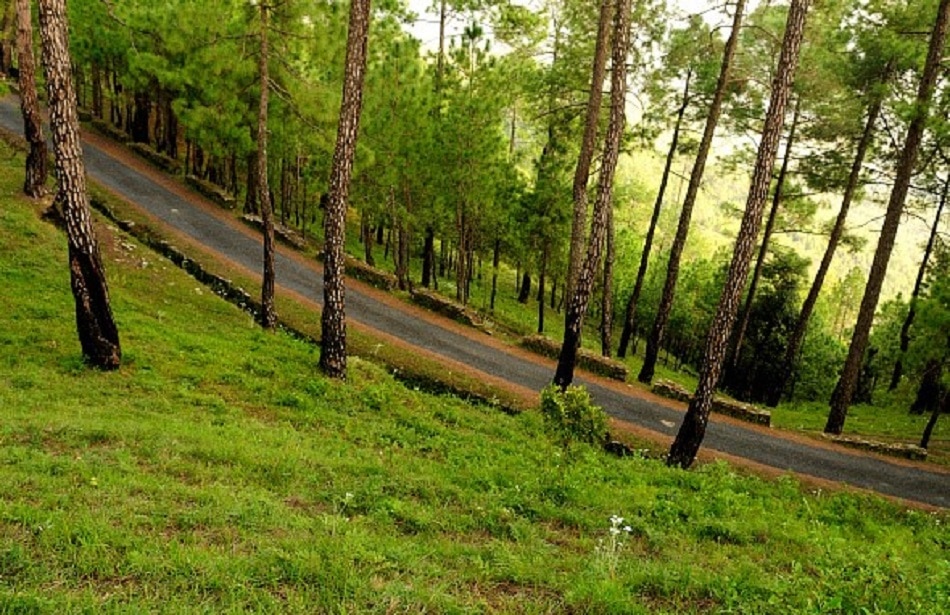 नवंबर की छुट्टियों में घूम आएं ये 10 हिल स्टेशन