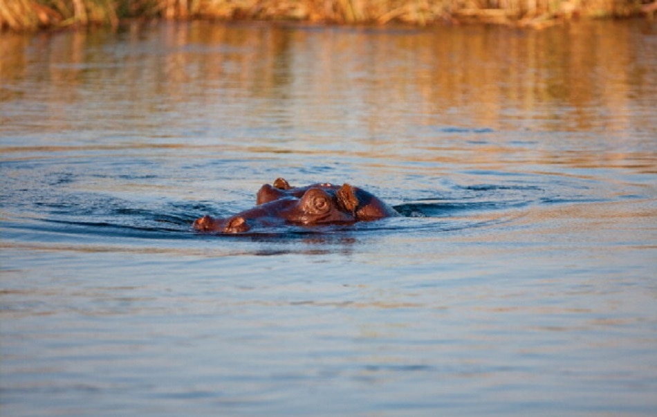 धरती के 5 सबसे खूबसूरत प्राकृतिक नजारे