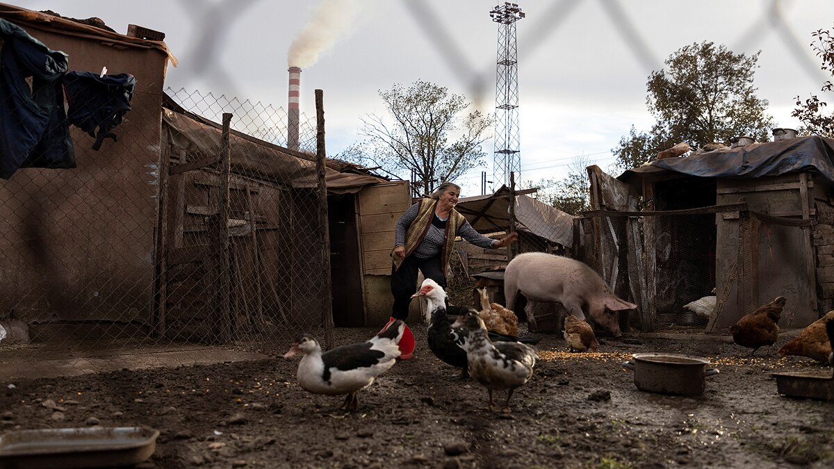 China Steel Mill Serbia Cancer
