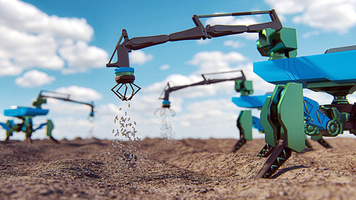 How Climate Change shape the world