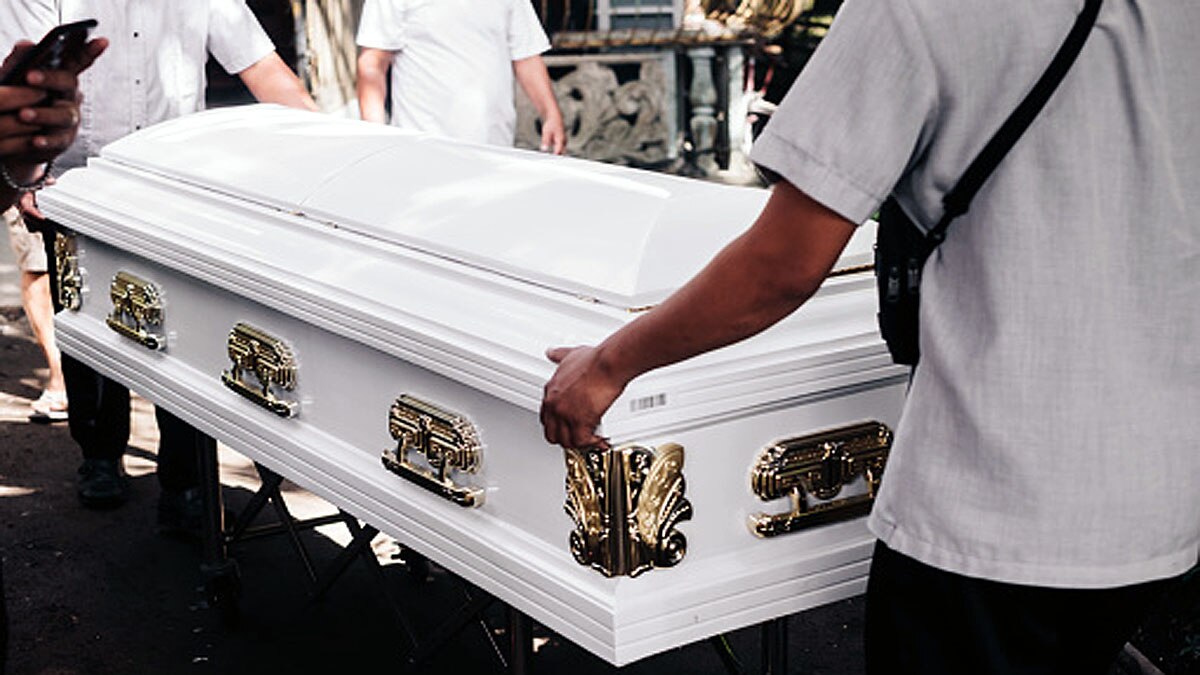 Dead Bodies into Trees 