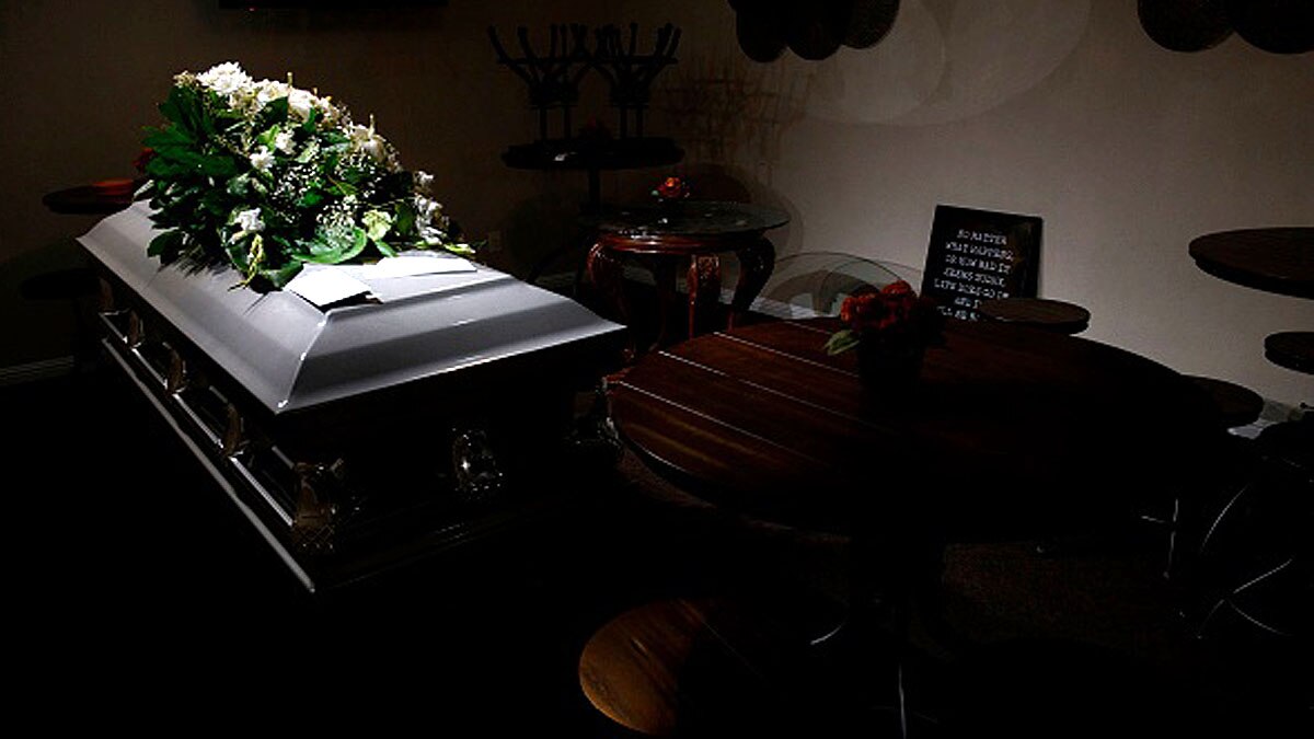 Dead Bodies into Trees 