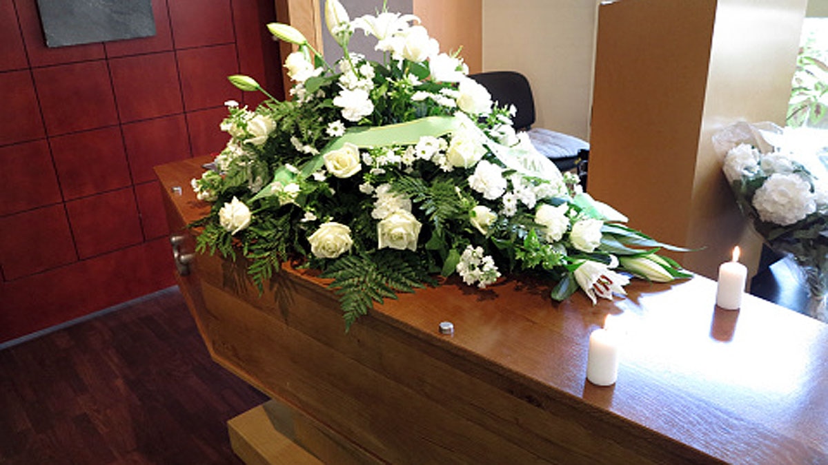 Dead Bodies into Trees 