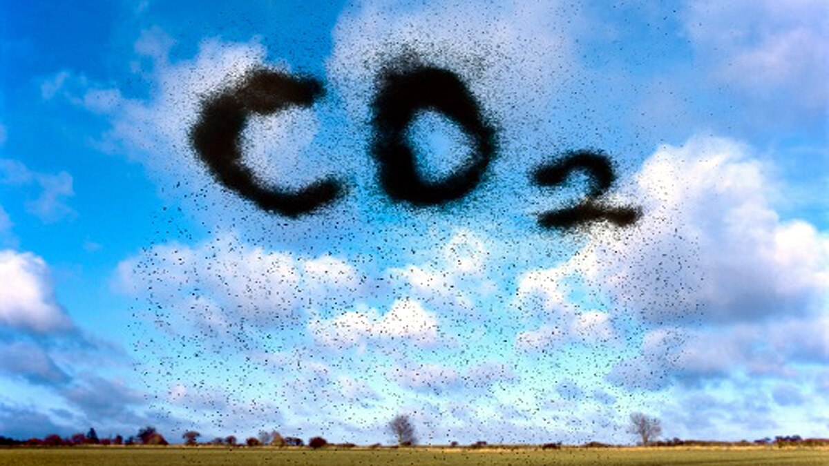Carbon Emission After Covid