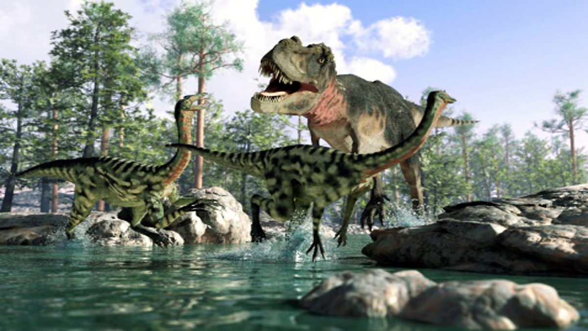 An Earth without human