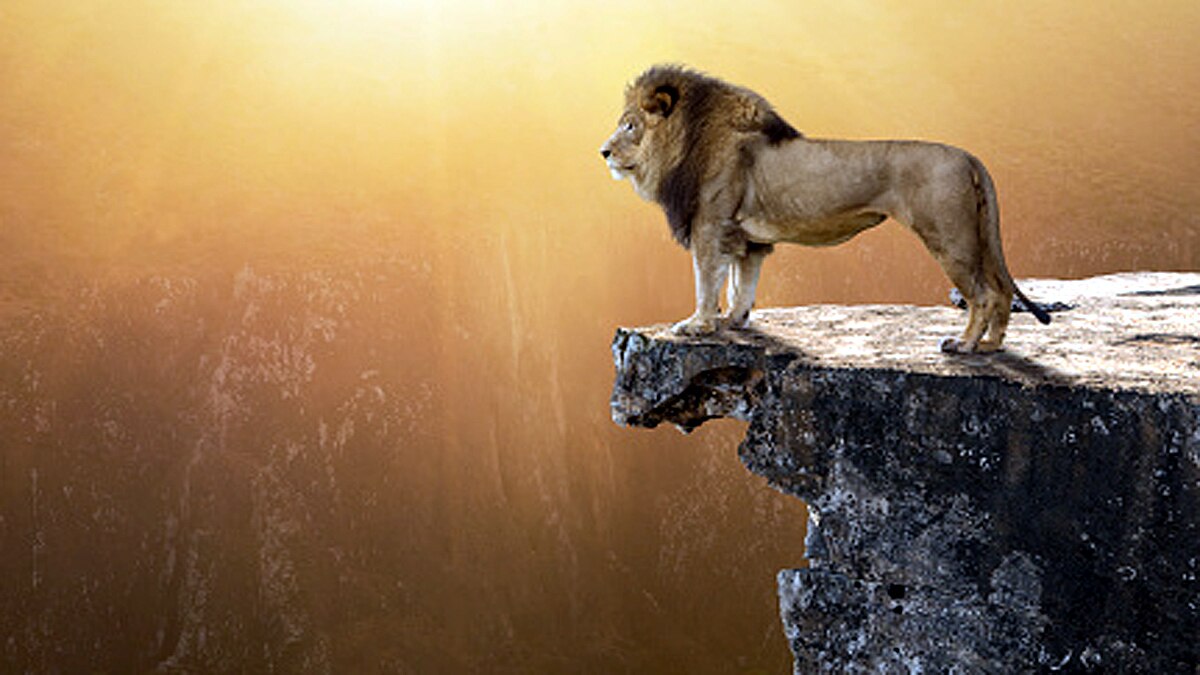 An Earth without human