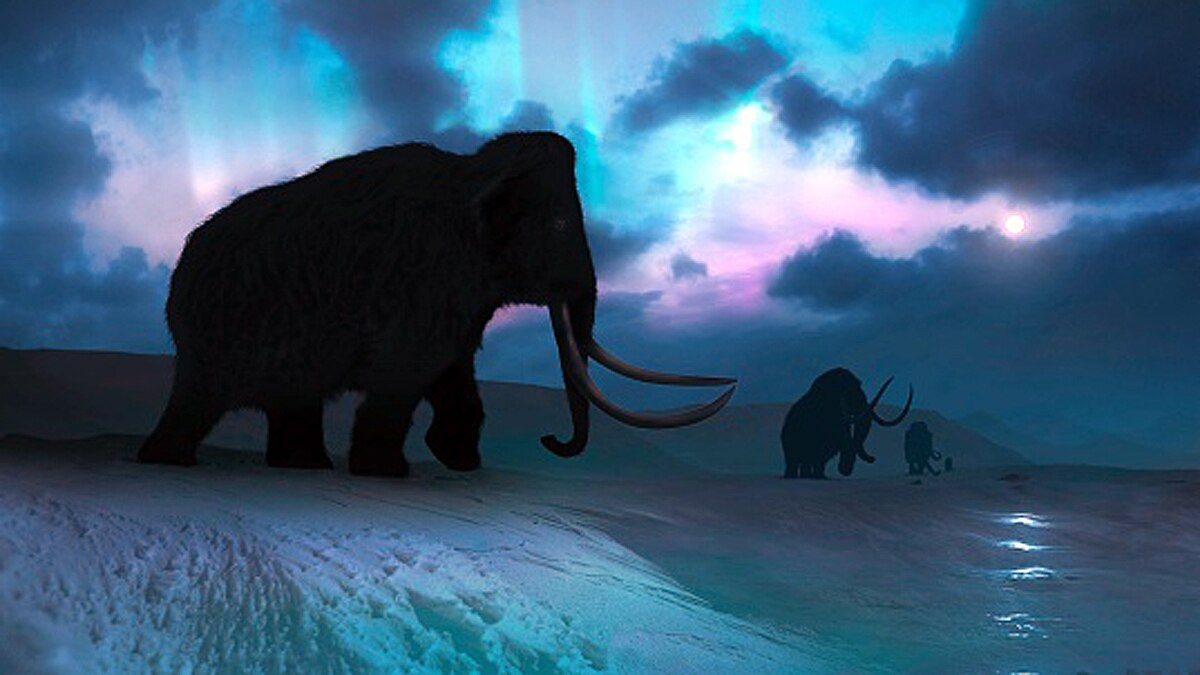 An Earth without human