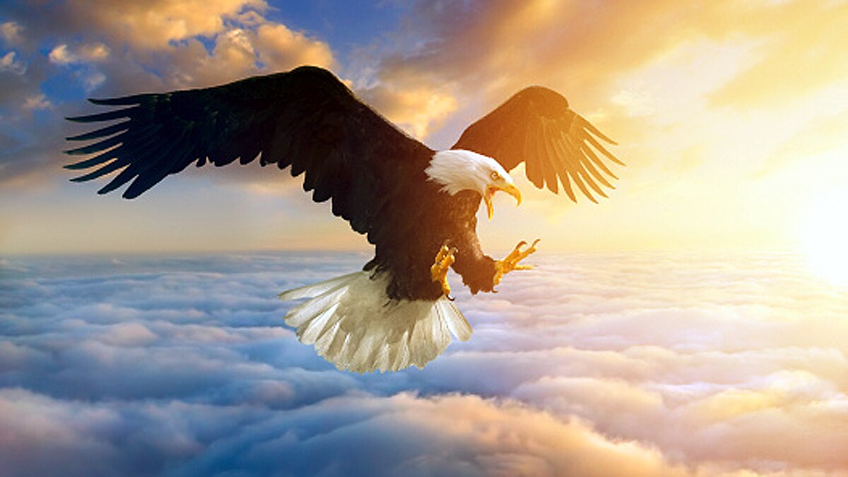 An Earth without human