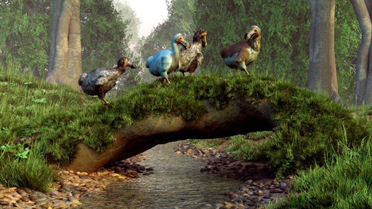 An Earth without human