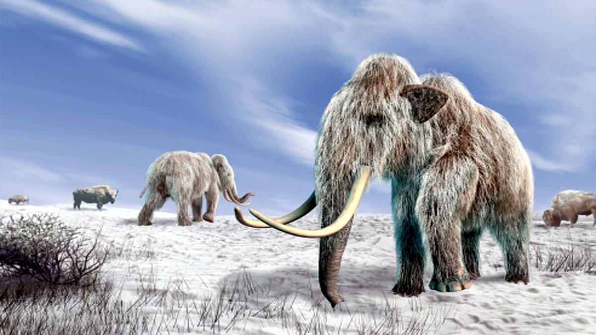 An Earth without human