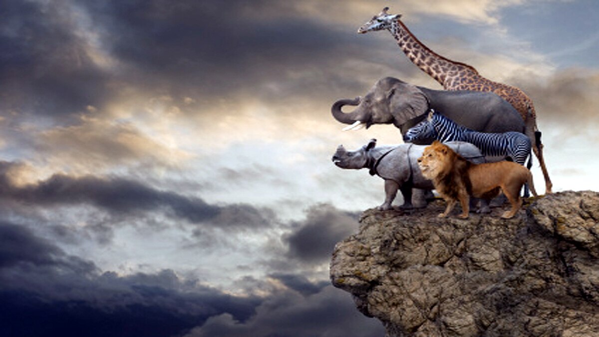 An Earth without human