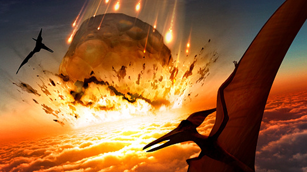 An Earth without human