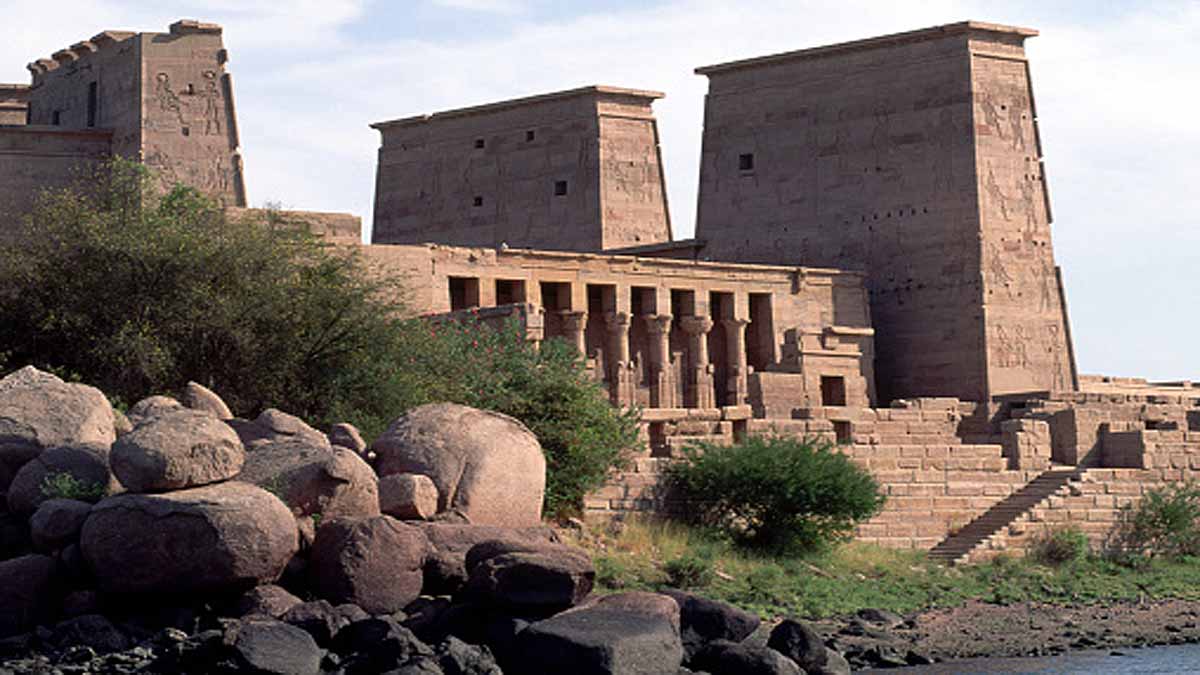 Egypt Scorpion Mass Attack