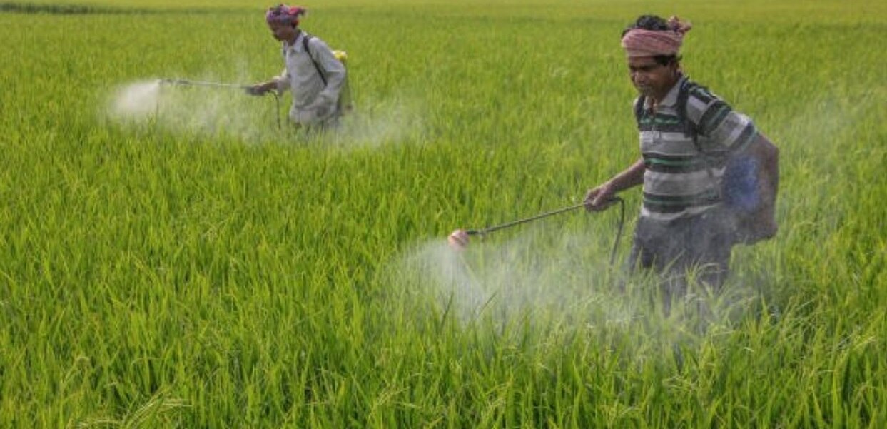 Government Farmers Scheme