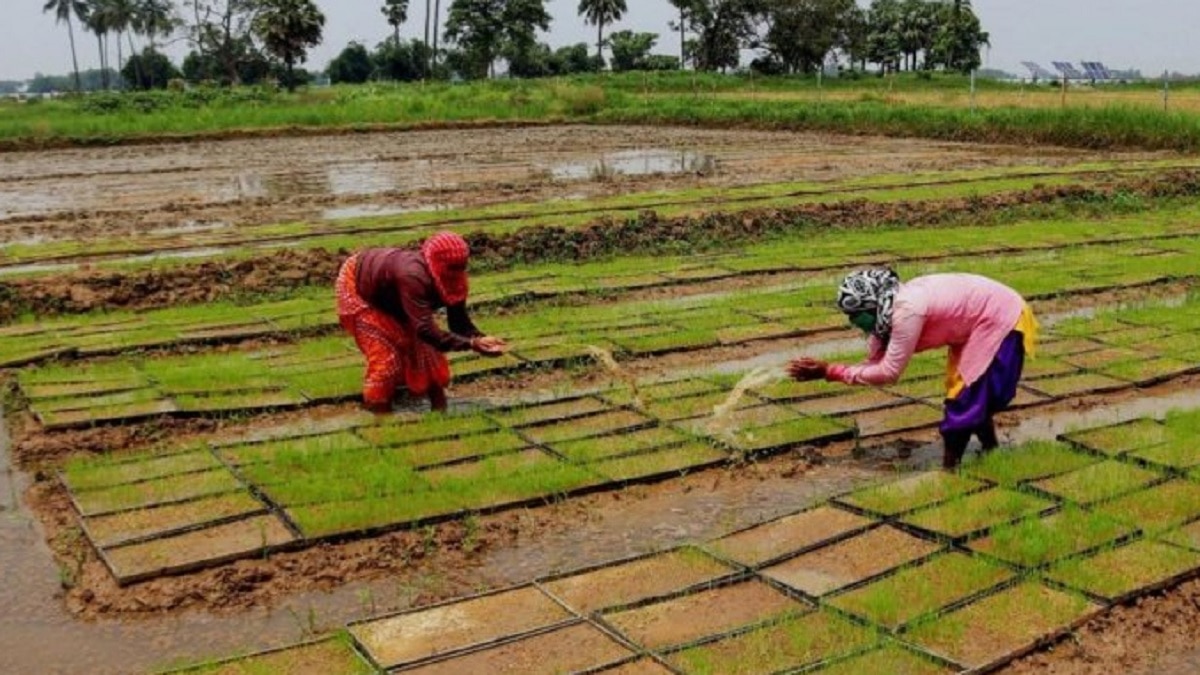 pmkisan.gov.in, PM Kisan Samman Nidhi latest Upadtes