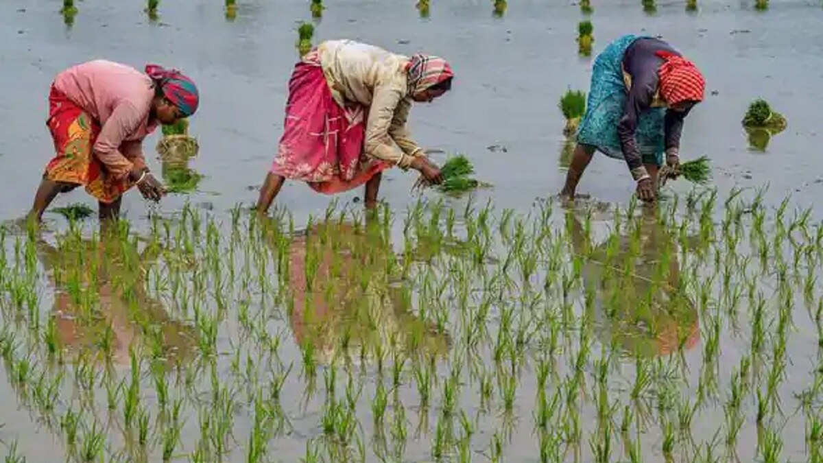 Kisan Samman Nidhi Yojna Rules