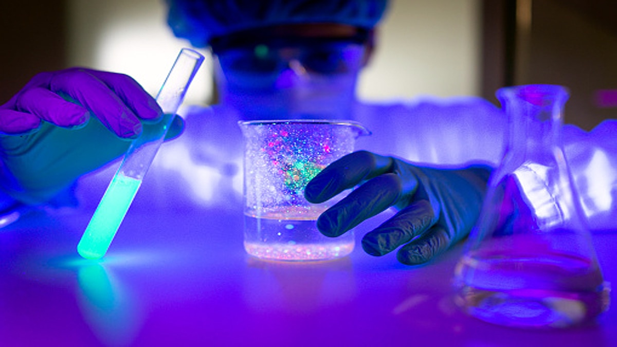 Mysterious brain invading fungus