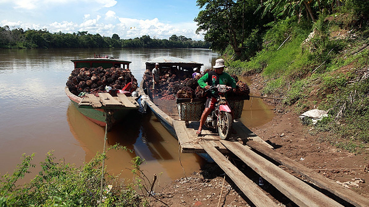 Lost Gold Island Srivijaya