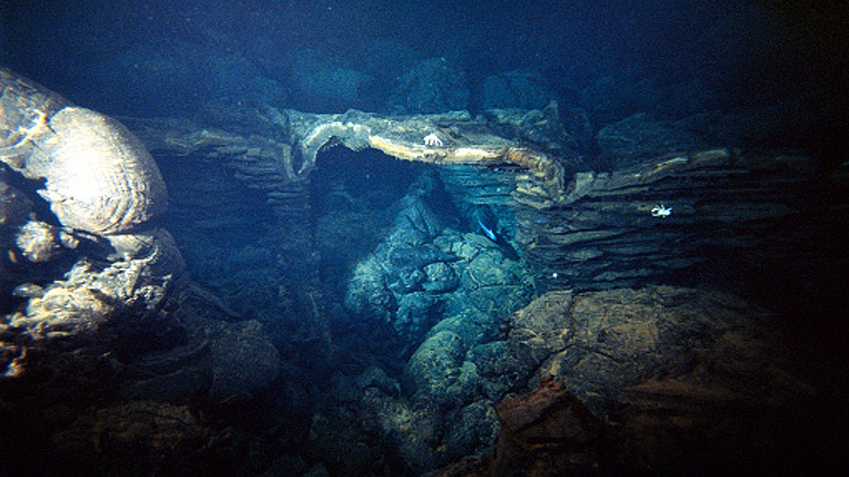hydrothermal vents Gulf of California 