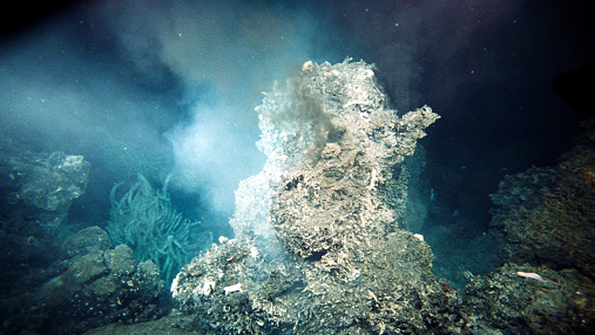 hydrothermal vents Gulf of California 