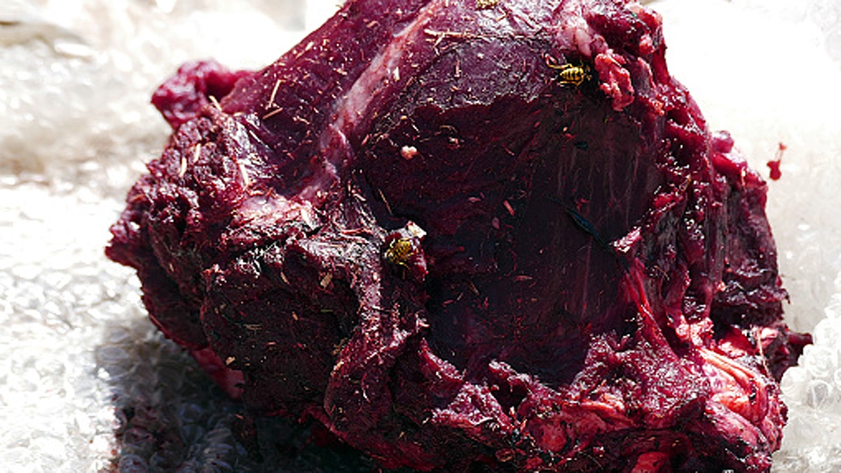 Rotting Meat Sweeter for Bees