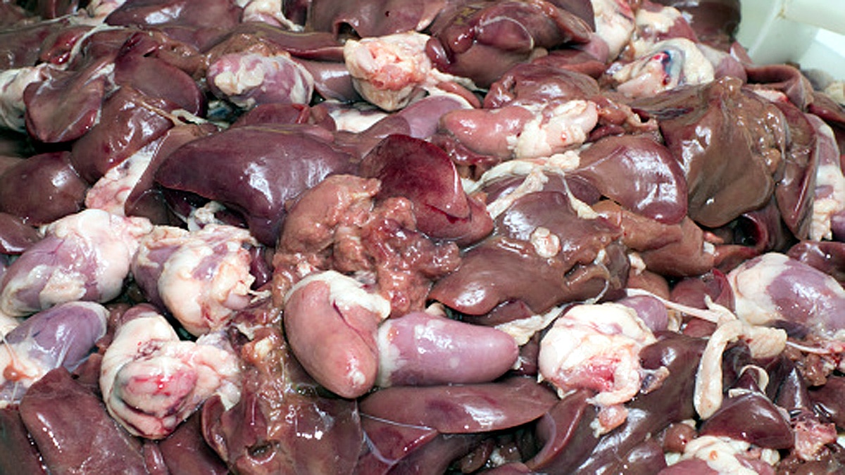 Rotting Meat Sweeter for Bees