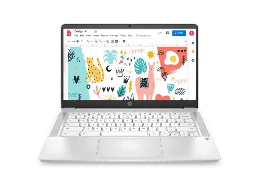 HP Chromebook N4020