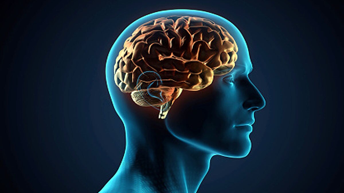 Why Human Brain Shrink?