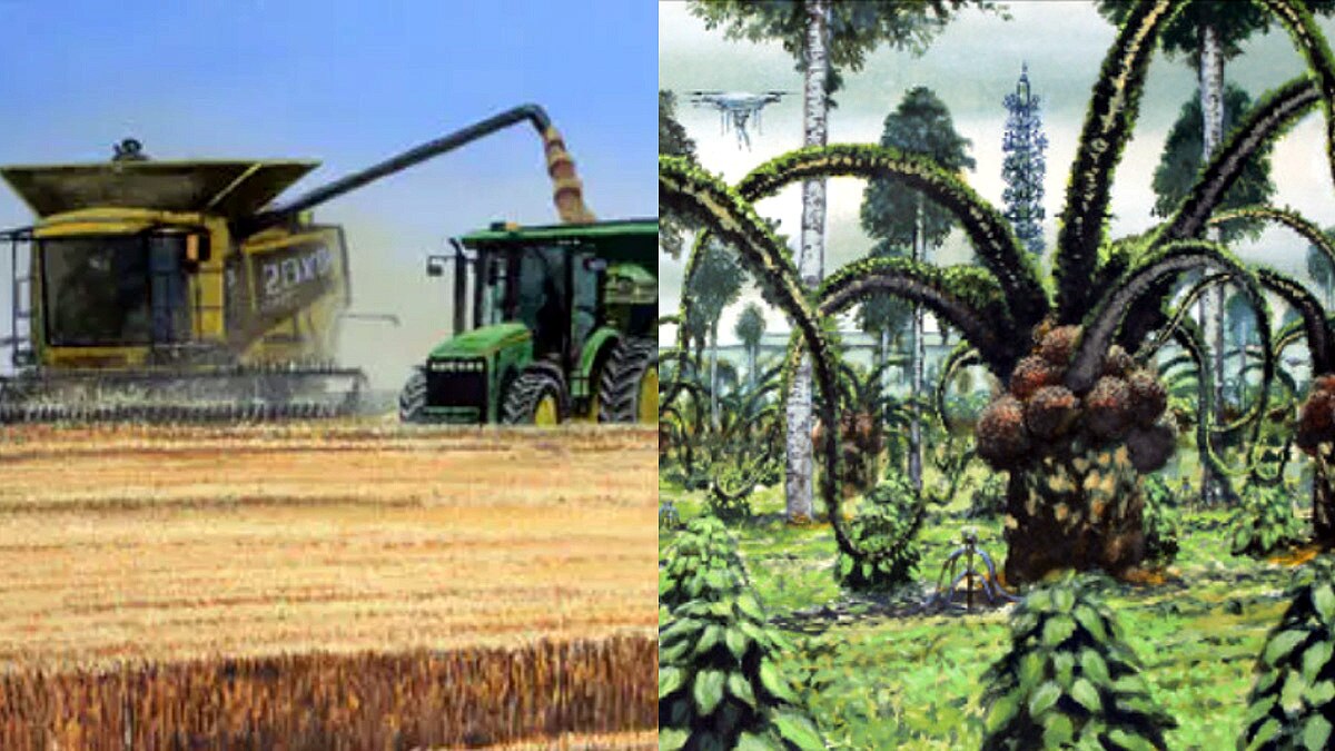 How Climate Change shape the world