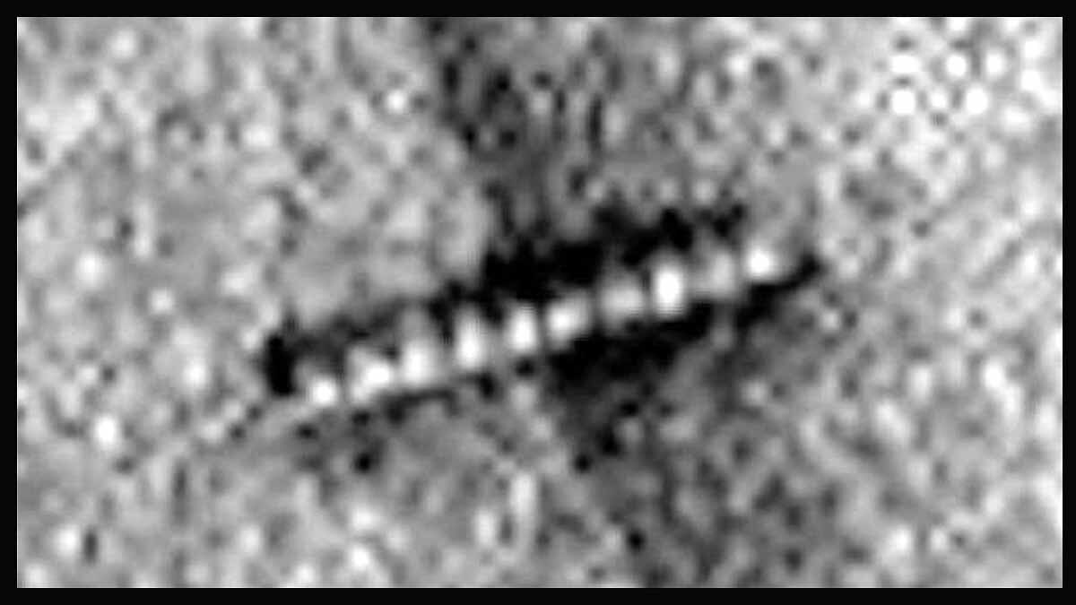 Life on Mars Gilbert V. Levin