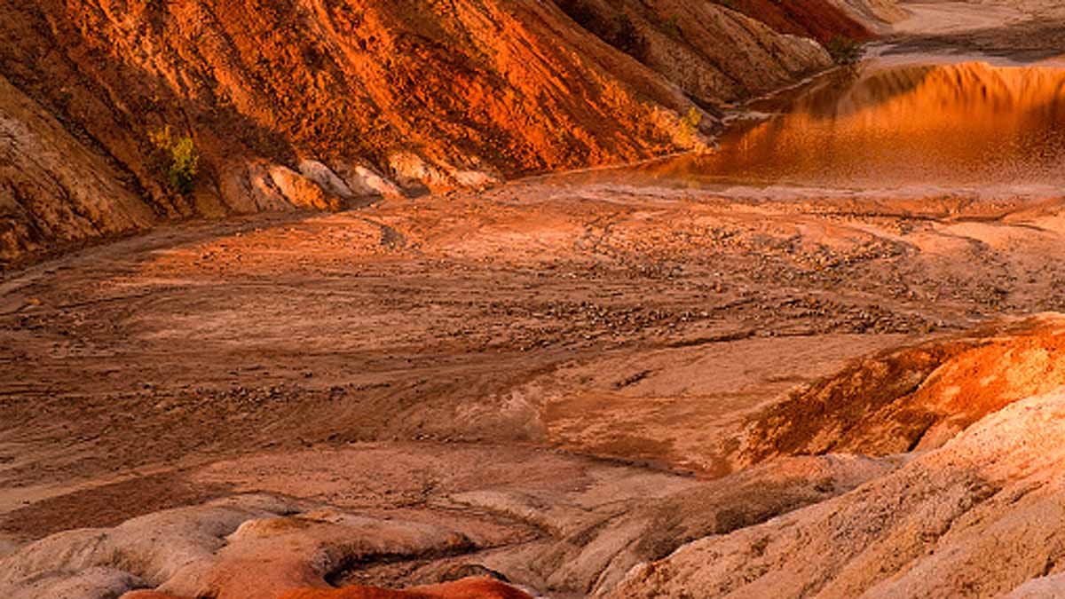 Life on Mars Gilbert V. Levin