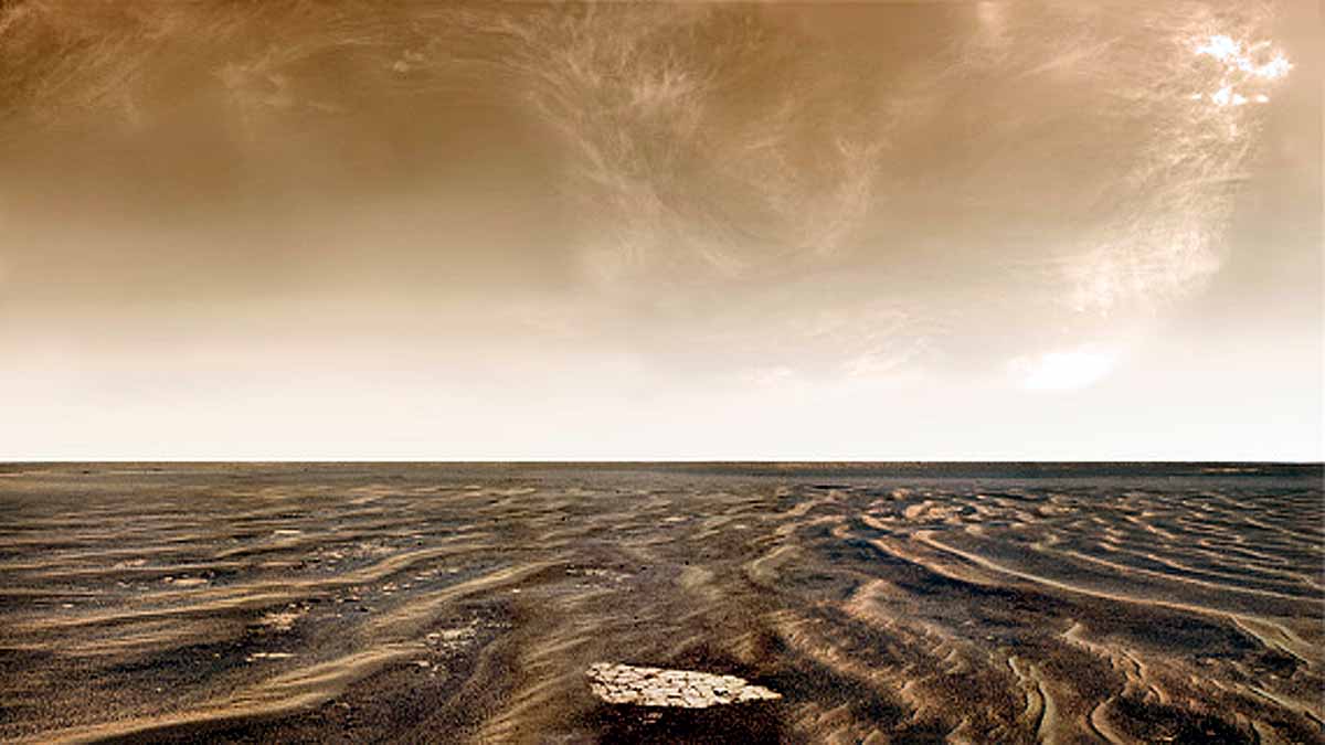 Life on Mars Gilbert V. Levin