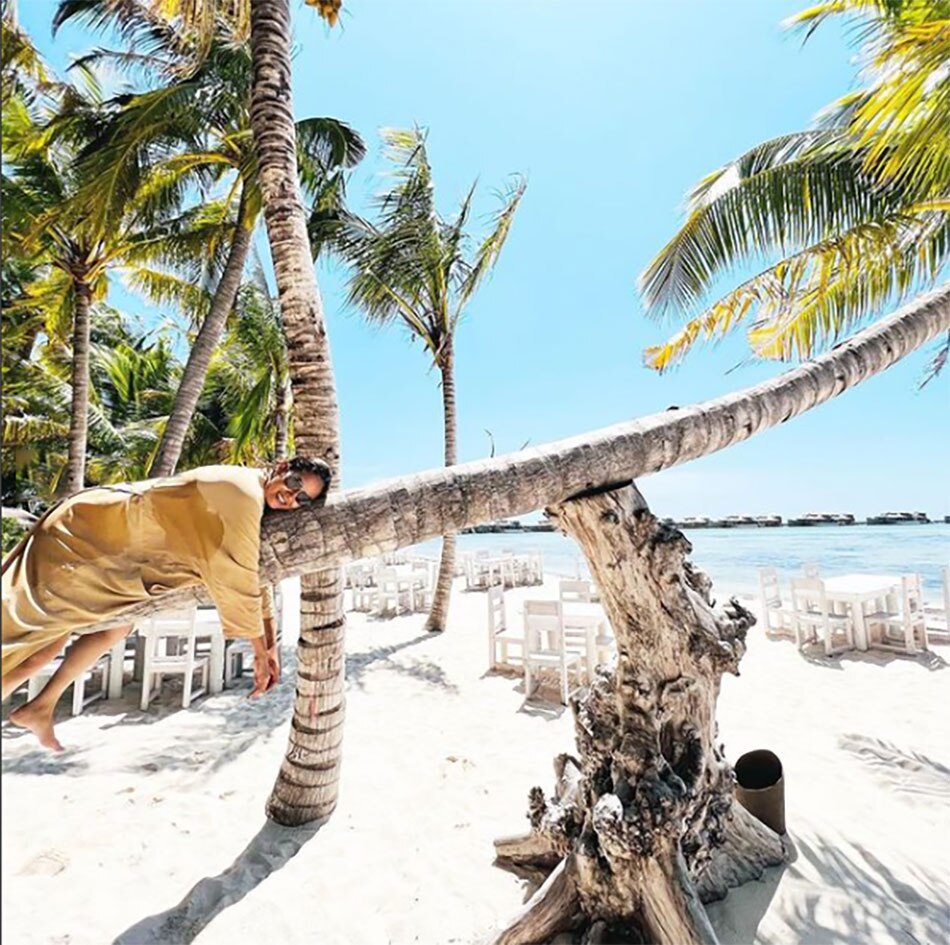 मीरा राजपूत  