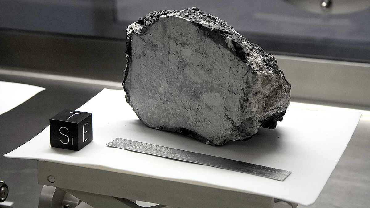 China Moon Rocks younger